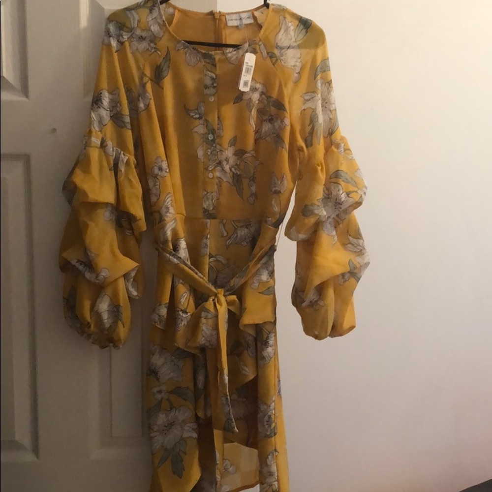 Chriselle x joa dress
